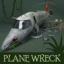 Plane Wreck