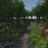 Forest Creek - Image 4