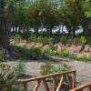 Forest Creek - Image 7