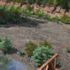 Forest Creek - Image 8