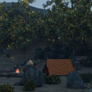 Forest Campsite